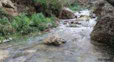 بالفيديو.. تفجر ينابيع في محافظة عجلون