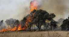 الدفاع المدني يخمد حرائق لمساحات كبيرة من الأعشاب الجافة