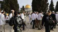 عشرات المستوطنين يقتحمون الأقصى.. ودعوات لرفع أعلام الاحتلال في ذكرى النكبة