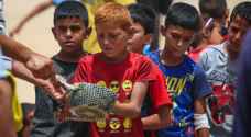 تحذير أممي من انتشار اليأس والجوع بشكل كبير في غزة
