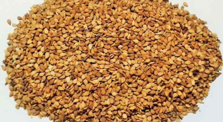 #عاجل| 12 حاوية سمسم فاسدة دخلت مطابخ الأردنيين #رؤيا_الاخباري #الأردن